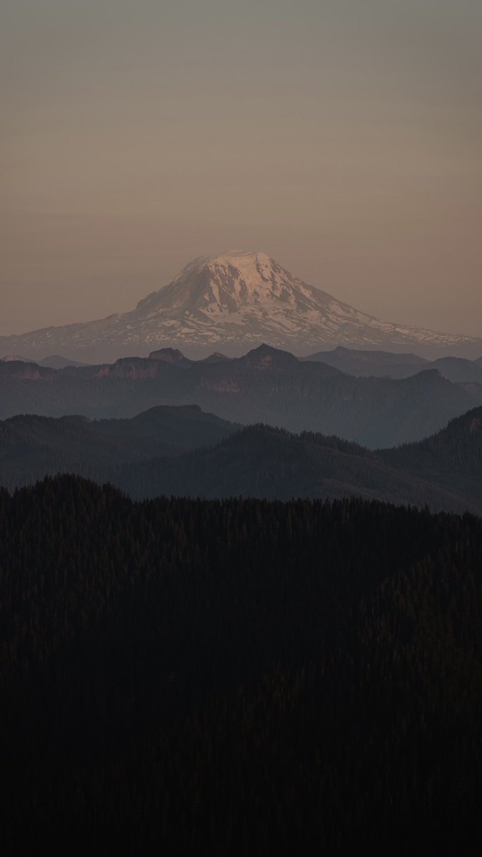 Oli Arlart tweet media