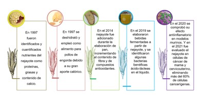 Itandehui Arriaga G. tweet media