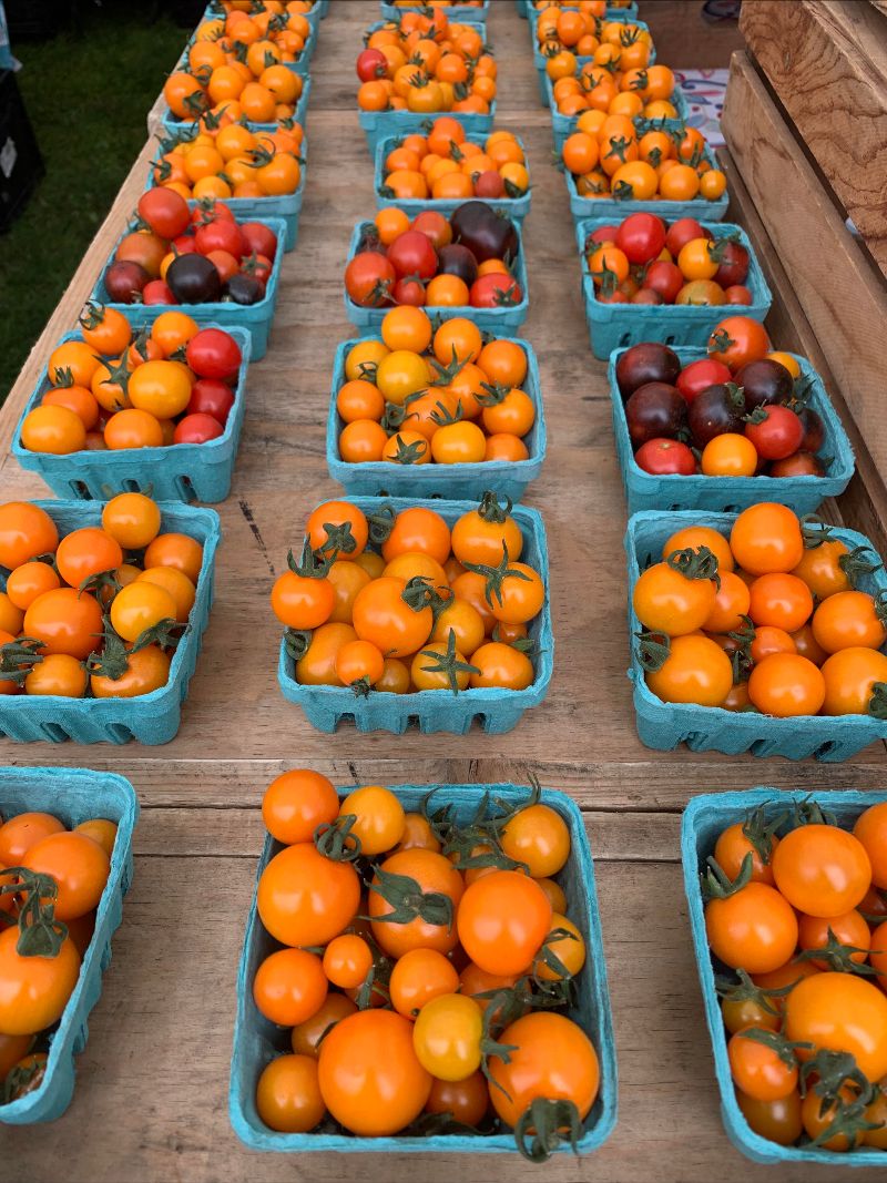 mailchi.mp/7ca2edb0917c/w…

Take a "Piquette" What We Have!