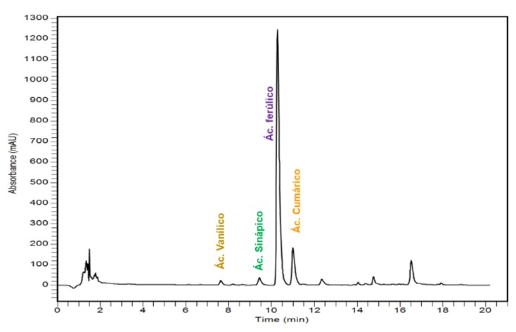 Itandehui Arriaga G. tweet media