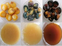 Itandehui Arriaga G. tweet media