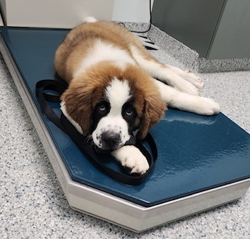 Functional Pathways tweet media