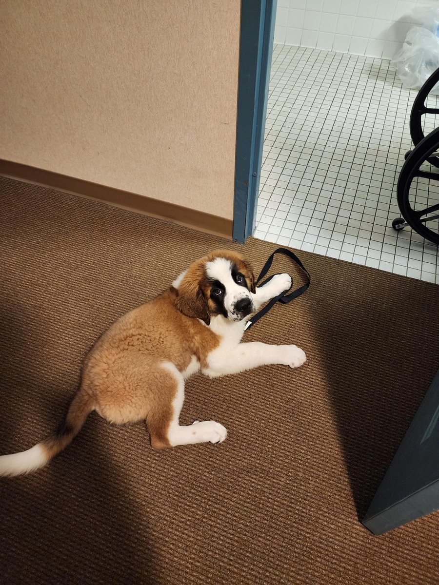 Functional Pathways tweet media