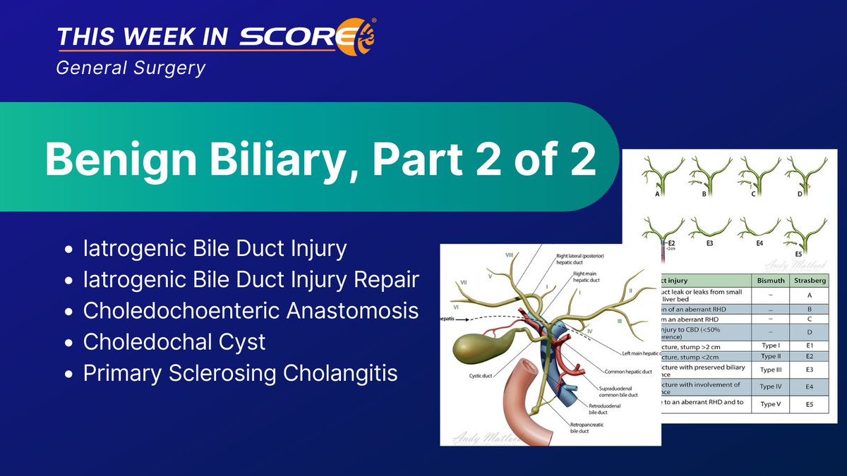 SCORE Surgery (@scoresurg) on Twitter photo Have you taken this week's #GeneralSurgery quiz? Benign Biliary, Part 2 of 2 covers 5 module topics, with 3 core and 2 advanced. Thank you to <a href="/EmorySurgery/">Emory Surgery</a> and Andy Matlock, MS for, providing the anatomic illustrations. To take the quiz, go to: ow.ly/5klu50PhAtQ #MedEd Have you taken this week's #GeneralSurgery quiz? Benign Biliary, Part 2 of 2 covers 5 module topics, with 3 core and 2 advanced. Thank you to <a href="/EmorySurgery/">Emory Surgery</a> and Andy Matlock, MS for, providing the anatomic illustrations. To take the quiz, go to: ow.ly/5klu50PhAtQ #MedEd