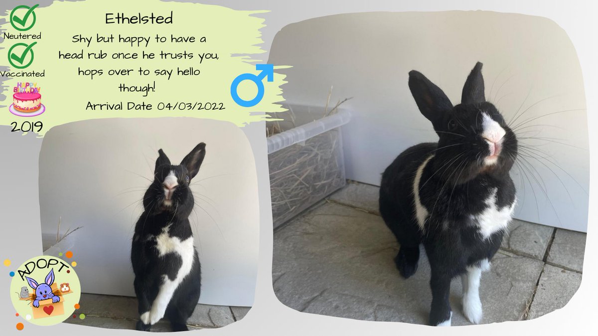 Hop on over to Nibbles.org.uk for all his info!