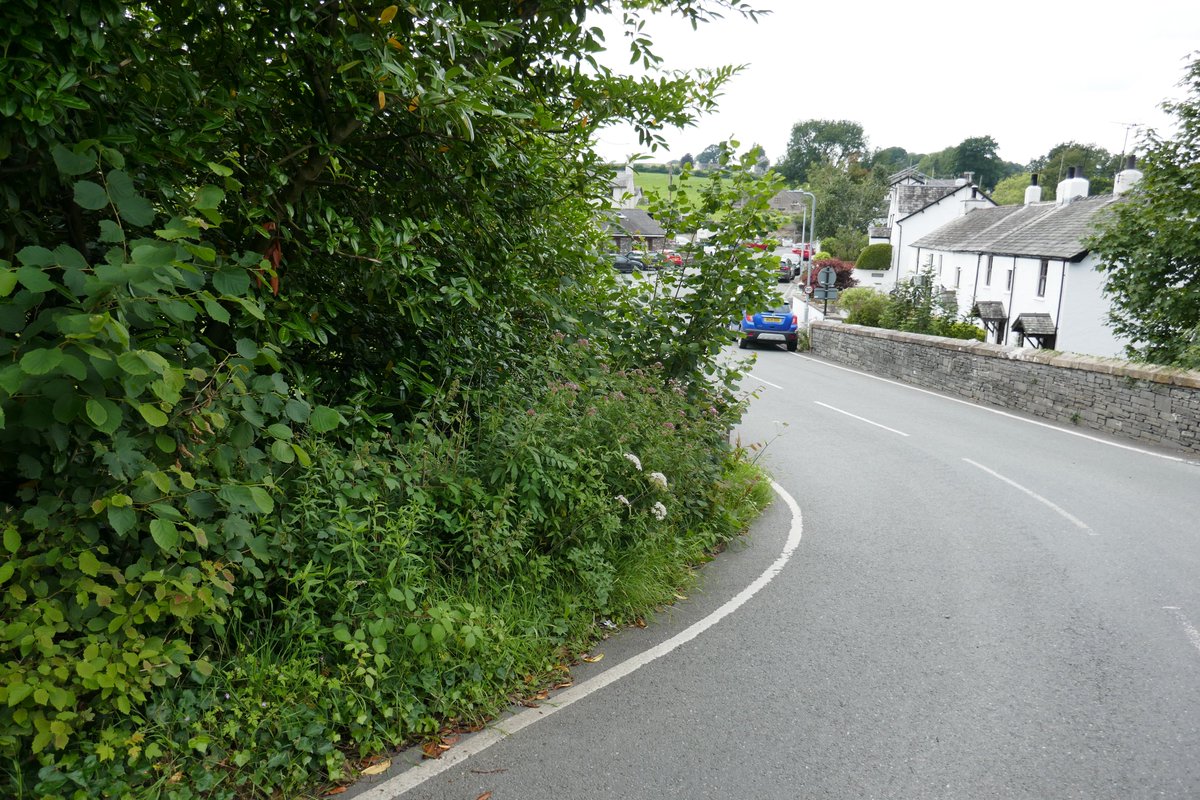 TheLengthsman's tweet image. Been improving driver vision in #SparkBridge this afternoon ~ seeing the blue car says it all !
#Lengthsman making #RuralRoads safer