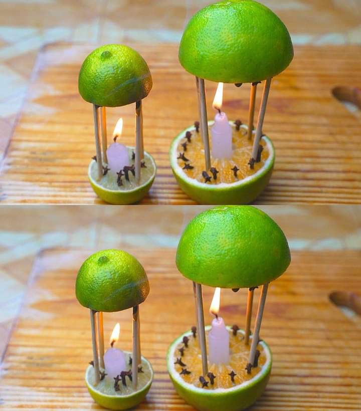 nipah_joseph's tweet image. Kill mosquitoes fast