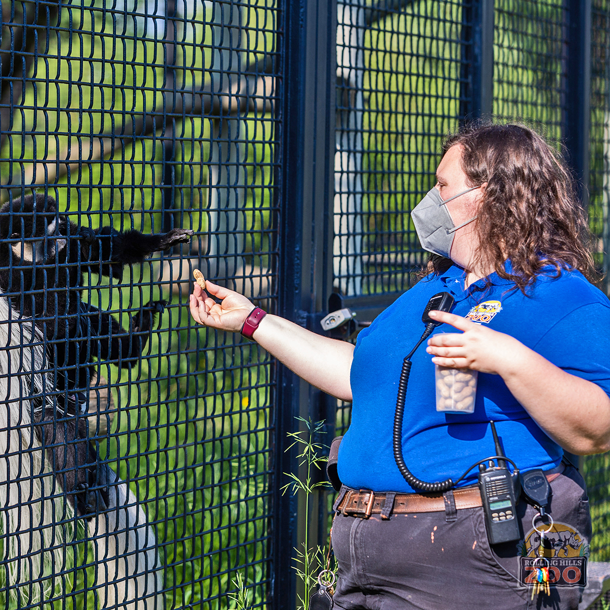 RHZoo's tweet photo. Our Keepers are AMAZING. They're on the job 365 days a year, in all weather. They care for 120+ species. It's more than a career - it's their passion. This is why #RollingHillsZoo is such a special place to be. Happy #NationalZooKeepersWeek! #NZKW2023 #ImaKeeper https://t.co/WZxFqZUC4p