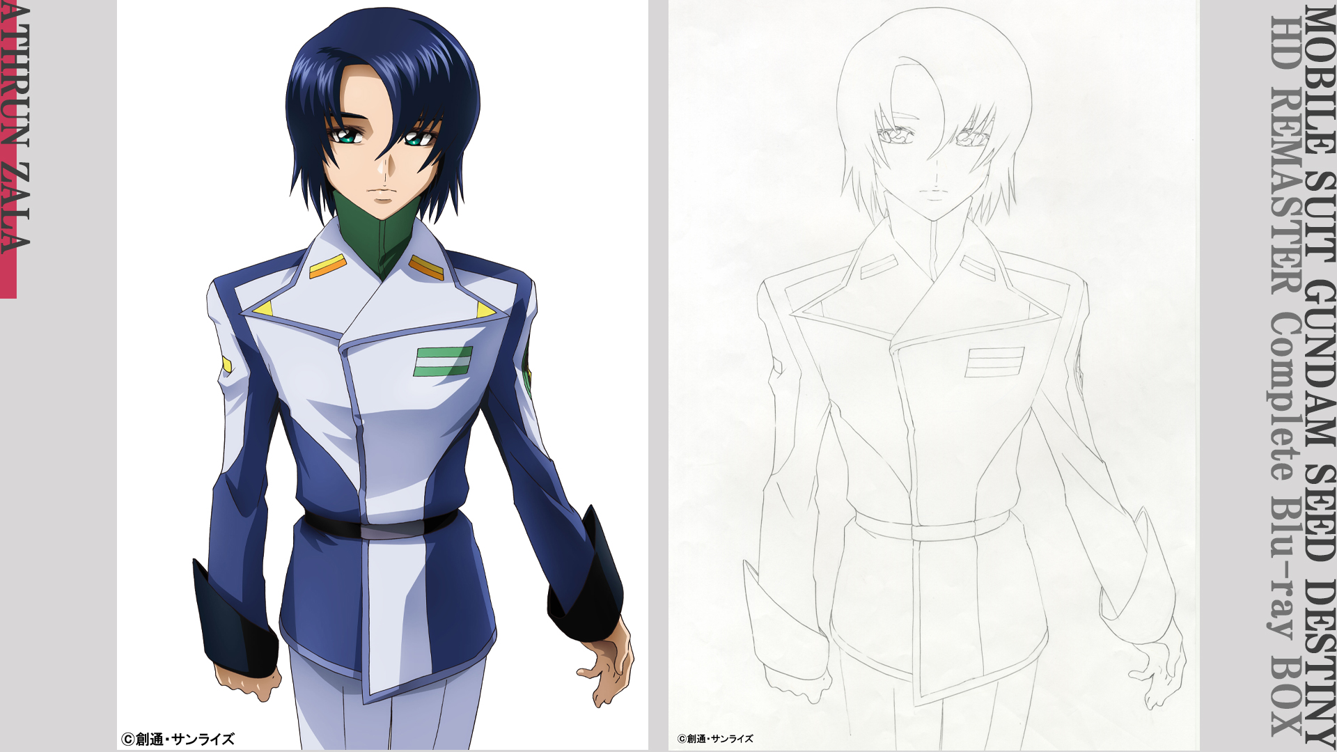 重田 智＆平井久司による新規描き下ろしイラストを使用した収納