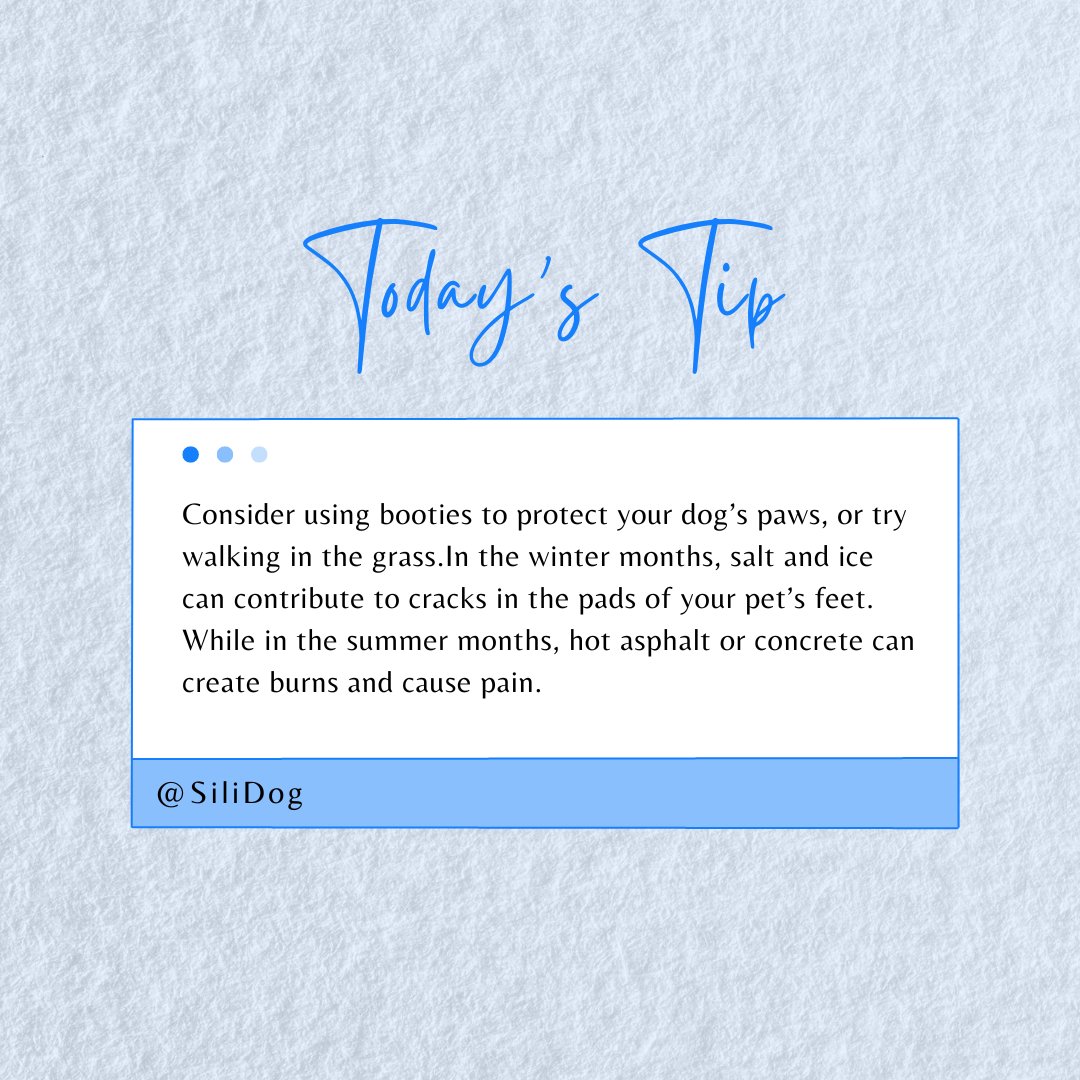 PSA for all our SiliDog #SiliDog #Summer #Dogs