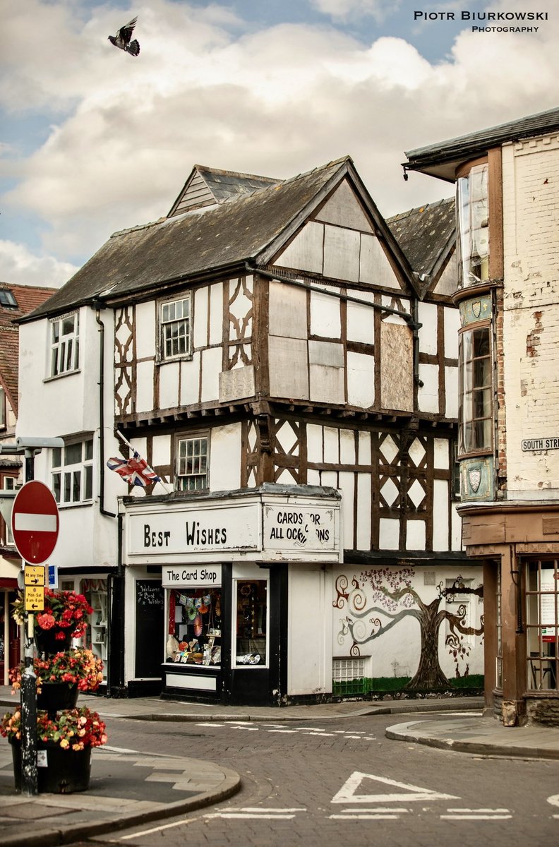 Piotr Biurkowski Photography tweet media