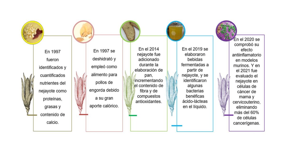 Itandehui Arriaga G. tweet media