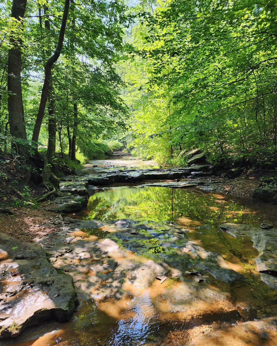 Clarksville_CVB's tweet photo. Rotary Park is a must-see with wooded trails, a disc golf course, the Wade Bourne Nature Center, a large accessible playground, and a creek area to splash around in. 🌳🛝
📍: 2308 Rotary Park Drive
📷️: IG - mercclub
#VisitClarksvilleTN #ThingstodoinTennessee https://t.co/AfphIidkGg