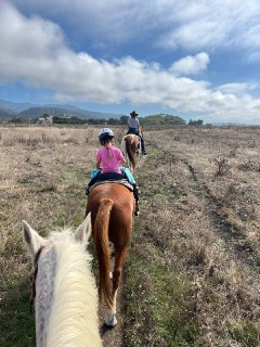 A long journey through life, the scenery seen, the river drunk, the company of passers-by.