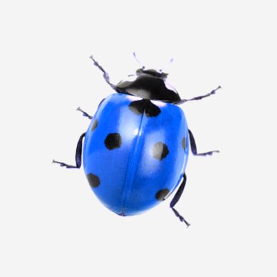 quaslo's tweet photo. #NewProfilePic https://t.co/GSQqBOrUnt