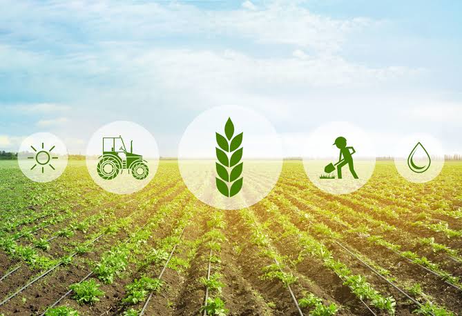 Ondu_Ke's tweet photo. Climate-smart agriculture (CSA) is an integrated approach to managing landscapes-cropland, livestock and fisheries -that address the interlinked challenges of food security and climate change. 

Let's  transform agri-food systems towards green and climate resilient practices. https://t.co/kj8Ree1KRb