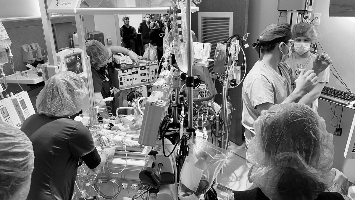 Passionate about #ECMO and #transfusion research? We're looking for our next <a href="/YalePCCM/">Yale Pediatric Critical Care</a> PICU fellow! ERAS applications are now open – seize this opportunity to train at <a href="/YalePediatrics/">Yale Pediatrics</a>. #PedsICU