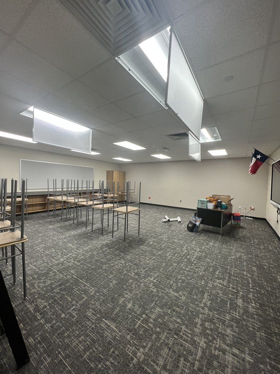 Lindi Stammann tweet media