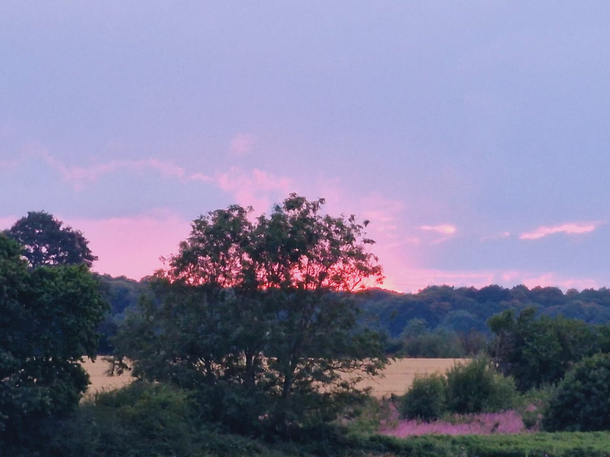 Sunset #sunset #nature #TwitterNatureCommunity #colour #crepuscular #samsungs22ultra