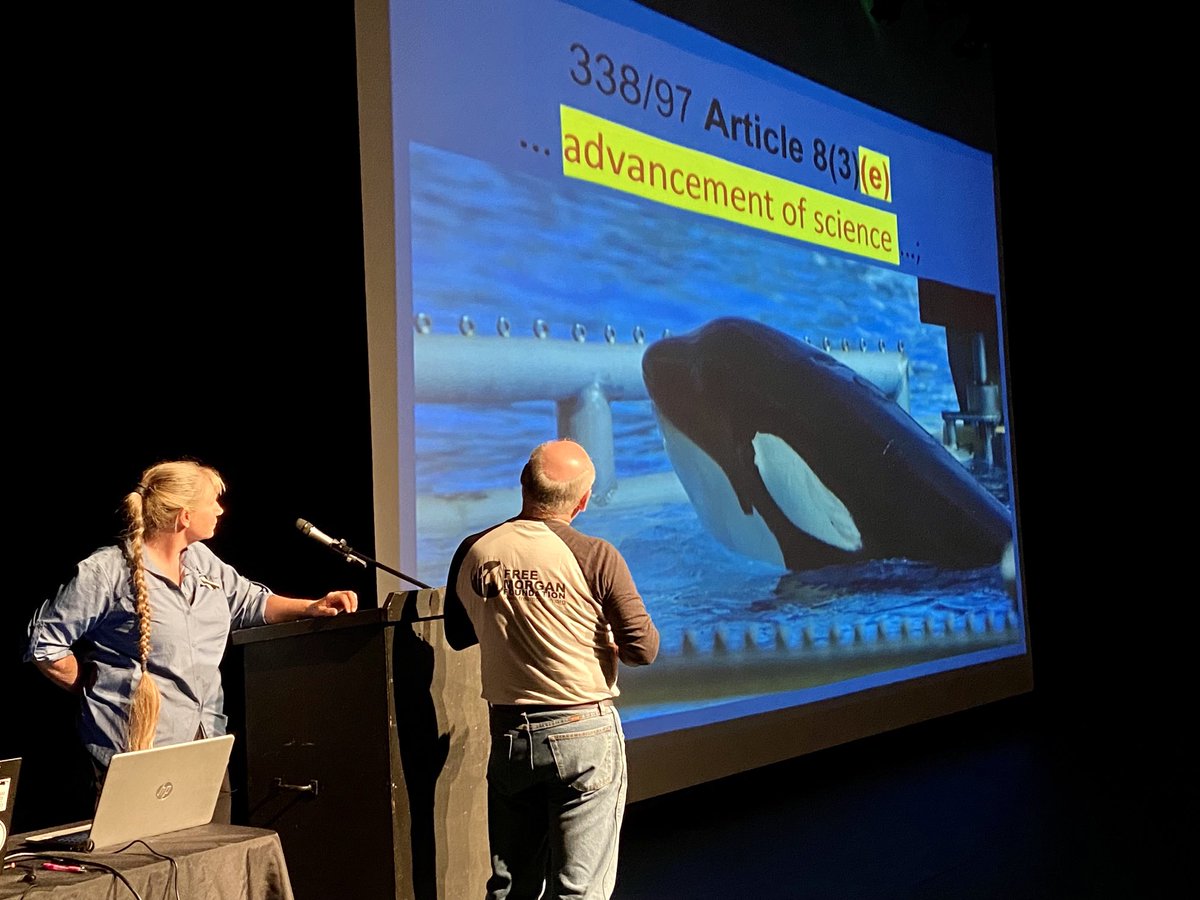 Voice of the Orcas tweet media