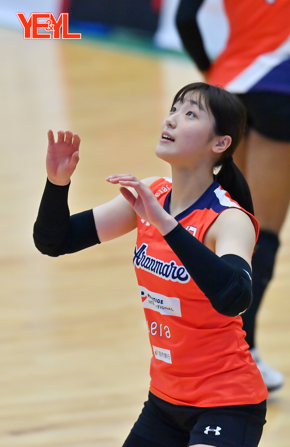 青い人【蒼い人】 on Twitter