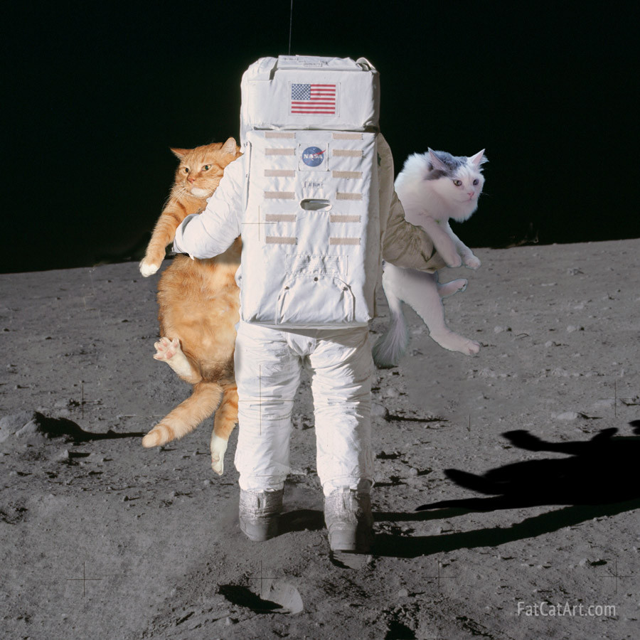 Astronaut Buzz Aldrin deploys Apollo 11 cats #MoonLandingAnniversary X-files concerning #Apollo11 mission fatcatart.com/2020/09/cats-o…