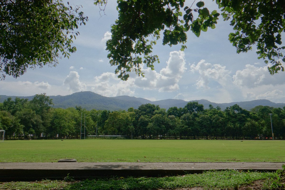 マーク® tweet media