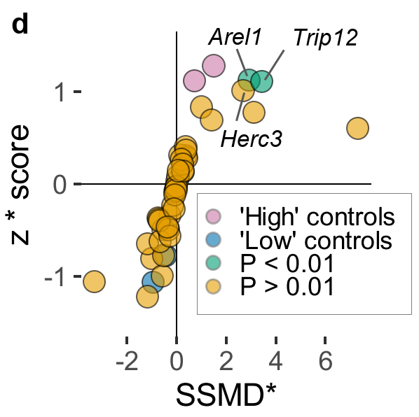 avi_cmbi's tweet photo. Of the 100s of ubiquitin E3 ligases, UBE2L3 partners with HECT and RBR ubiquitin #E3 #ligases (active-site cysteine transfer mechanism). So, we performed an RNAi sceen to find out which one(s) promote pro-IL-1b turnover in macrophages. TRIP12 &amp; AREL1 were identified as hits! https://t.co/cxPZkAAtEi