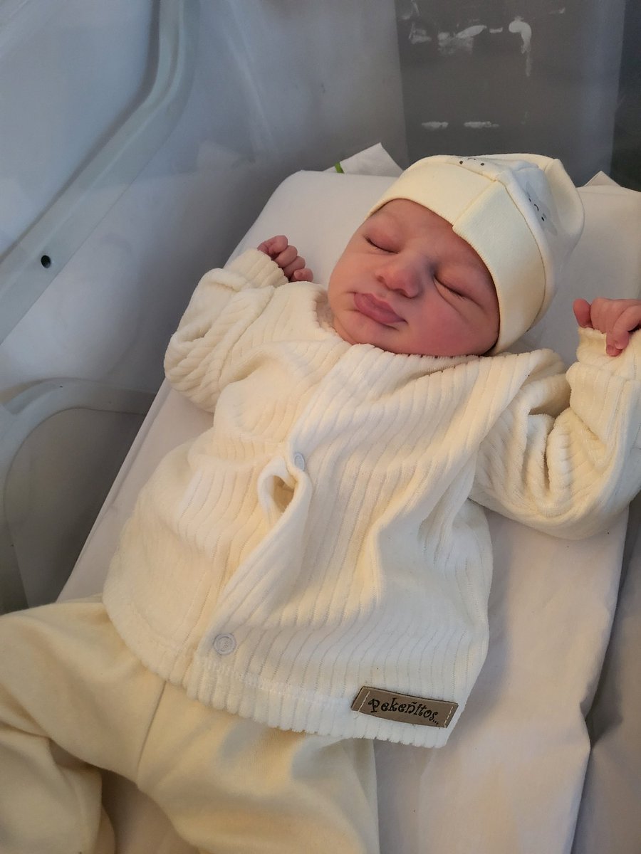 Dani Sullivan tweet media