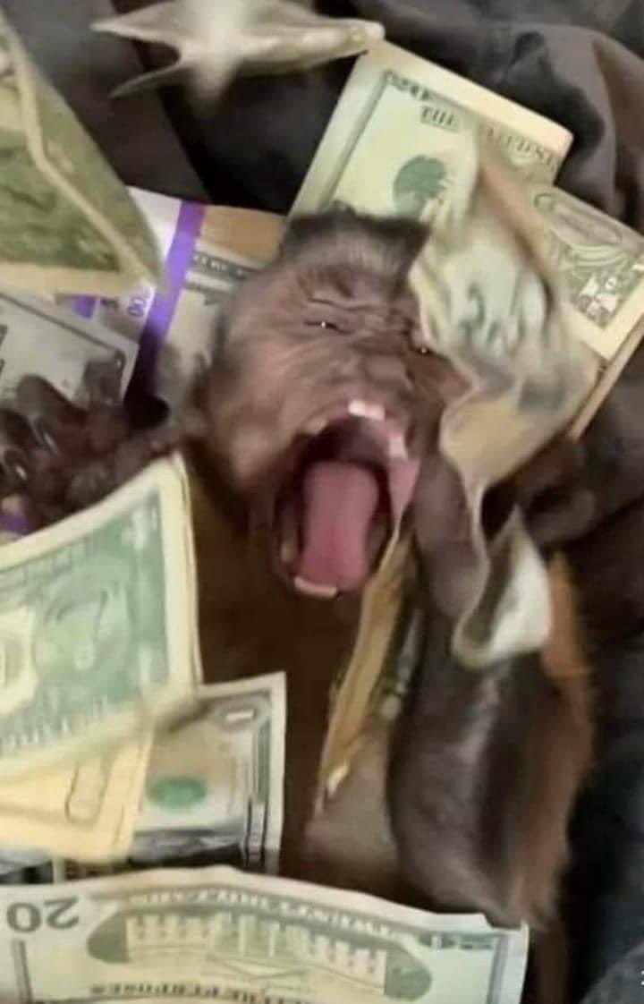 “Money can’t buy happiness”

Me: