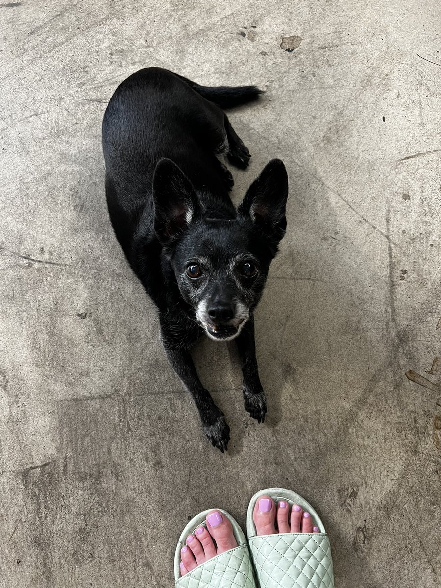 Bethany Lyons tweet media