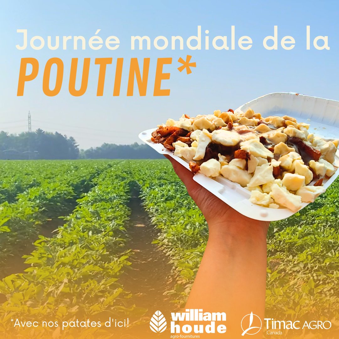 William Houde tweet media