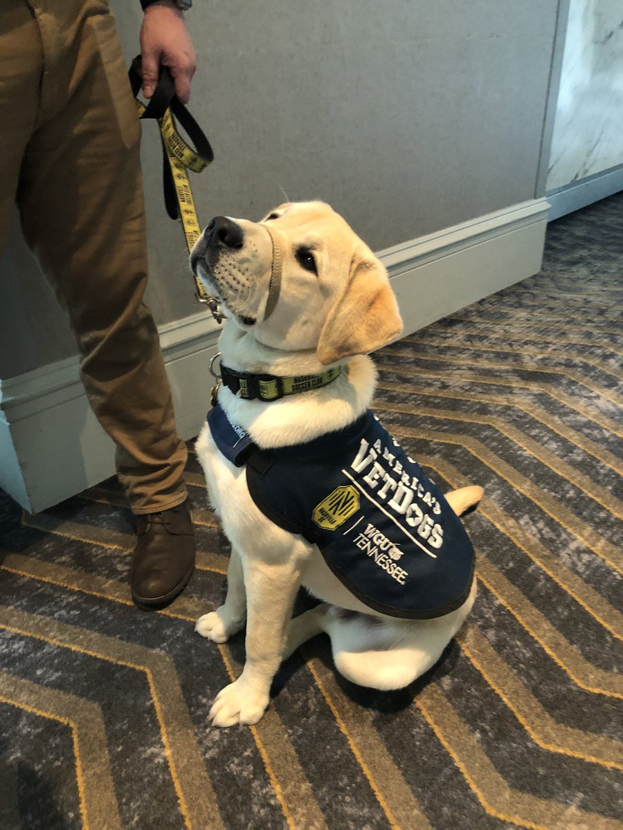 We had a special visitor at our <a href="/wgu/">Western Governors U.</a> Town Hall meeting in Franklin today: Cash from <a href="/NashvilleSC/">Nashville SC</a> and <a href="/AmericasVetDogs/">America's VetDogs</a> #nashvillesc #wgu #vetdogs