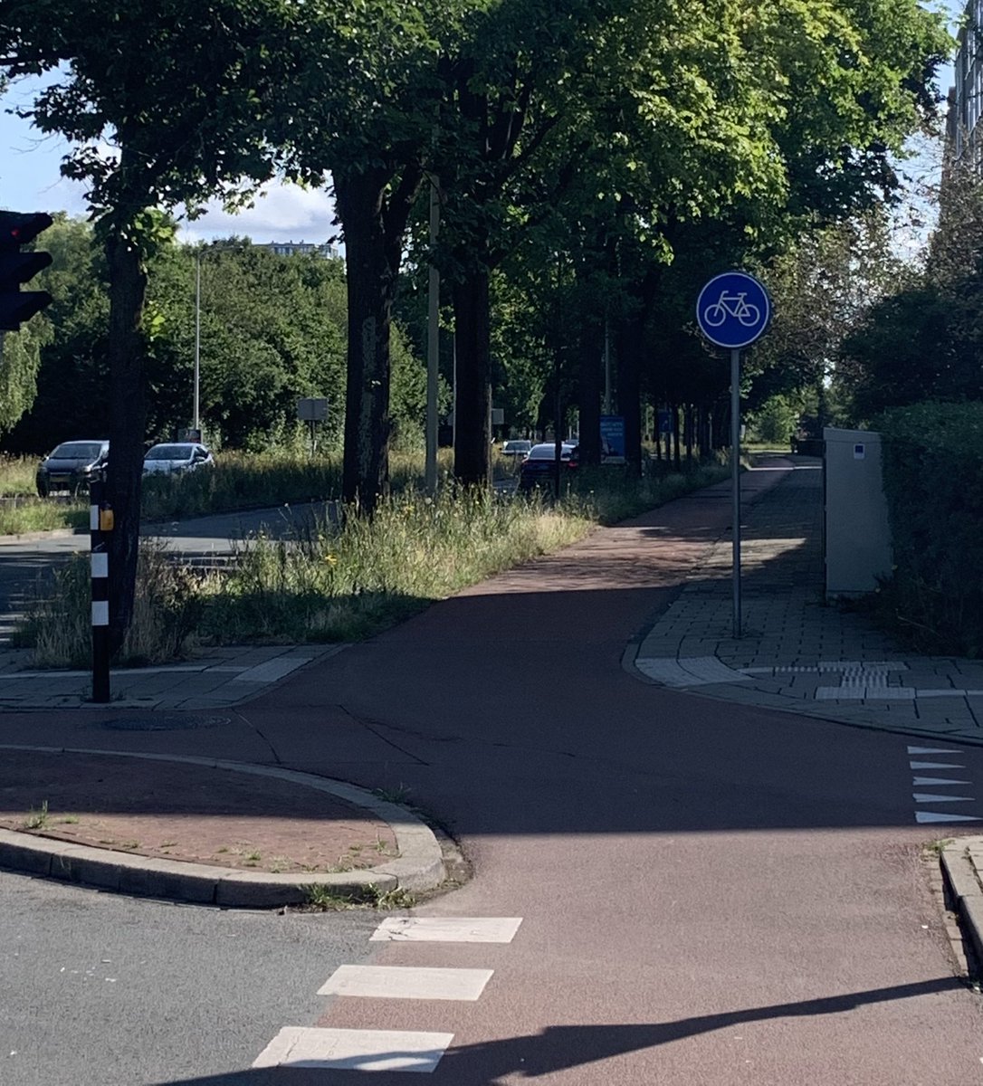 Lisette den Breems tweet media