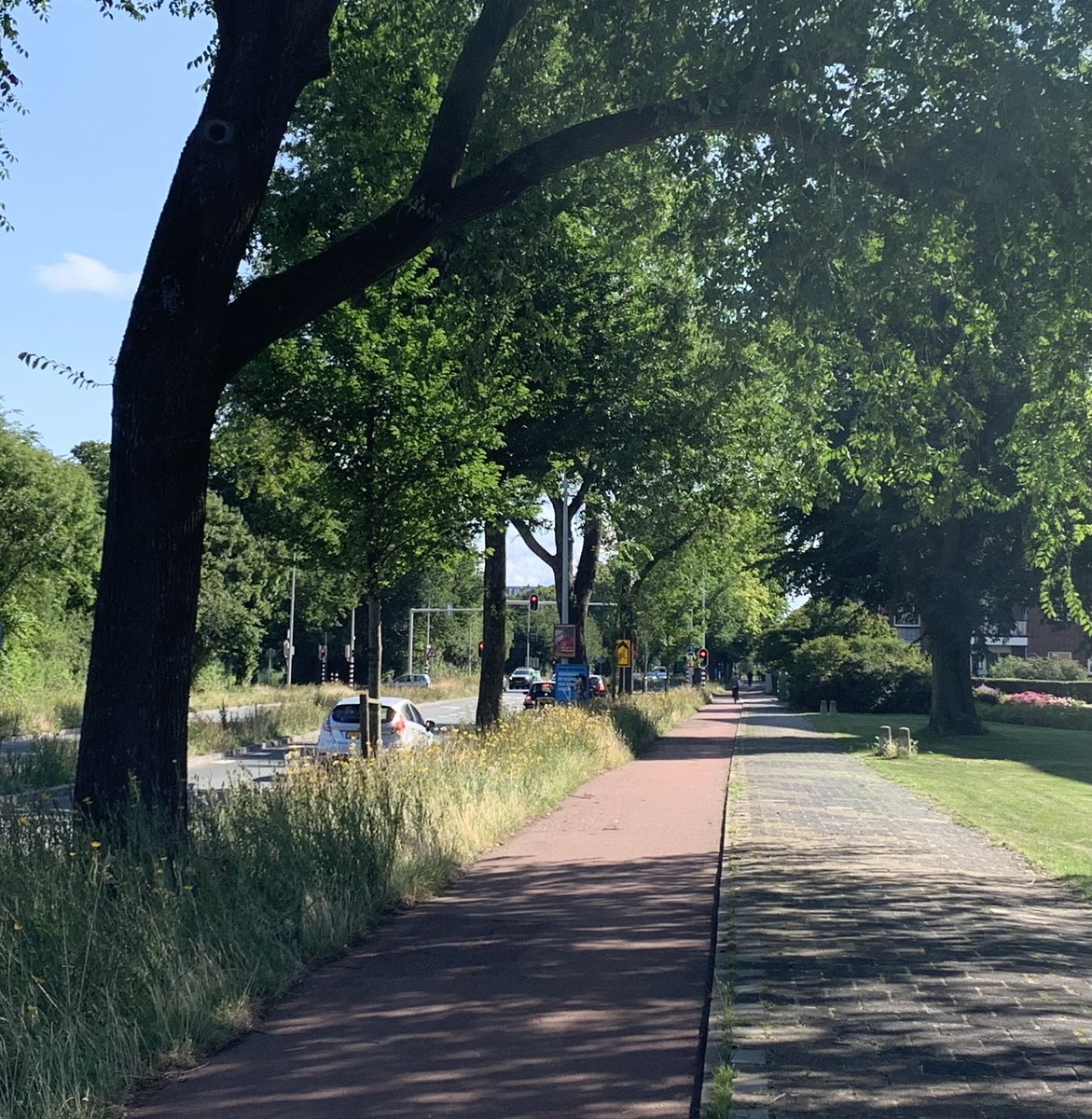 Lisette den Breems tweet media