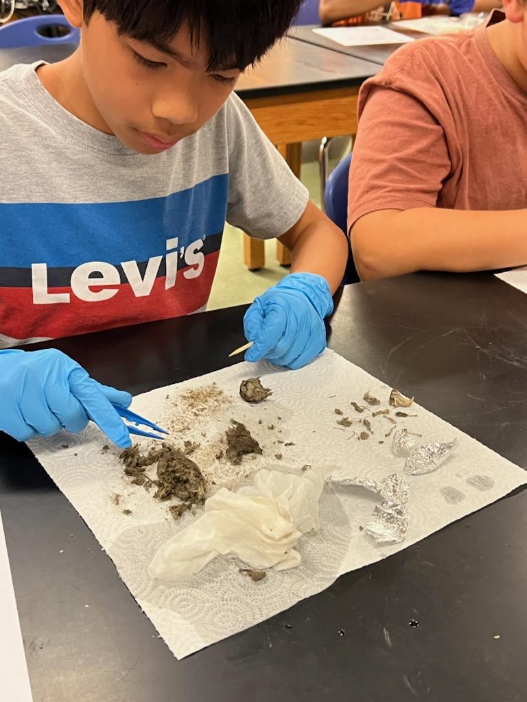 HodgesNKMS's tweet photo. We ended the week studying adaptations and inventions in Seek-Search-Survive!  The kids dissected owl pellets and built solar ovens. We've definitely got some future engineers and/or surgeons!  @MrsCederholm https://t.co/KfbC9gSRn5
