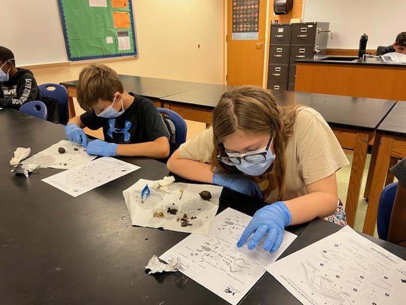 HodgesNKMS's tweet photo. We ended the week studying adaptations and inventions in Seek-Search-Survive!  The kids dissected owl pellets and built solar ovens. We've definitely got some future engineers and/or surgeons!  @MrsCederholm https://t.co/KfbC9gSRn5