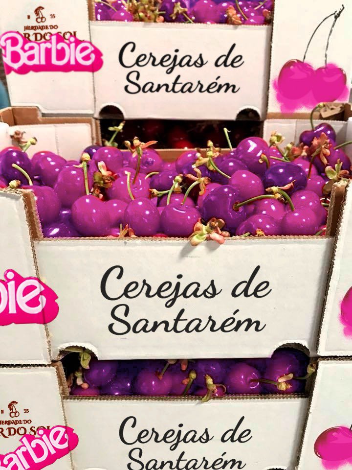 ManelPureza's tweet photo. TENHAM VERGONHA PEEPS DA BARBIE. SEJEM AMIGOS! SALVEM AS BALEIAS! 
#pordosol https://t.co/UVVPtYNsGN
