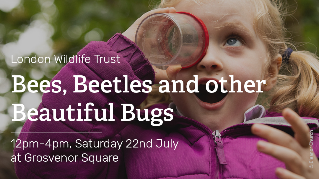 Come along and celebrate the Bees, Beetles and other Beautiful Bugs that live in London. Join @WildLondon for this free event on Saturday 22nd July from 12pm-4pm to learn about some of our smaller residents of the city! 🐞 🐝 🐛  

Book here 👇 
(bit.ly/41g7TEF)