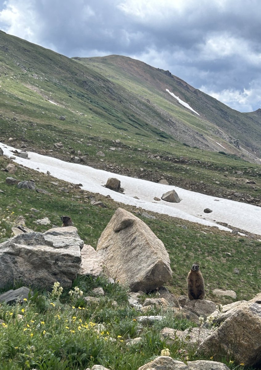 sunbittern's tweet image. chillen