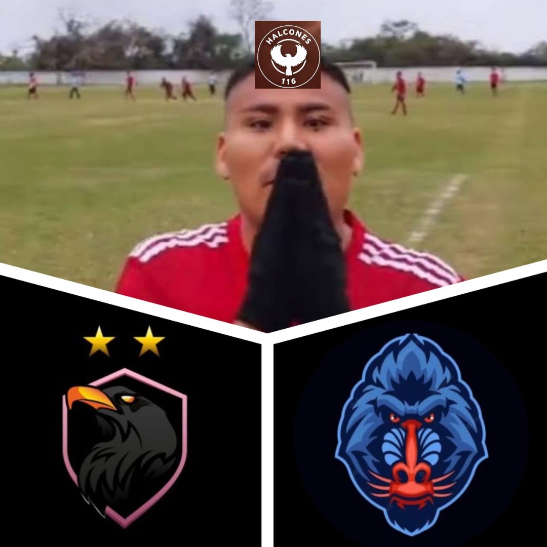 Halcones 116 F.C tweet media