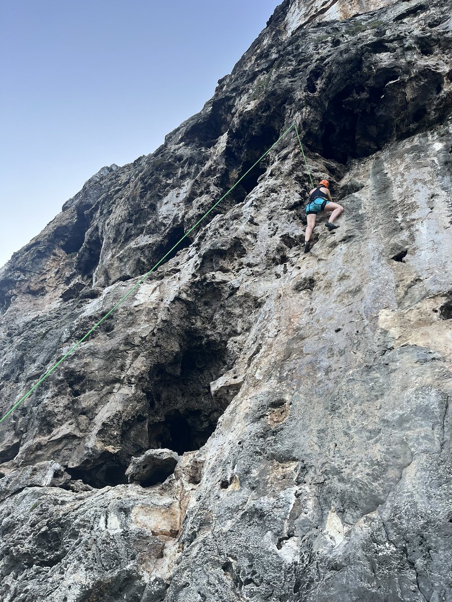 Anne Mills tweet media