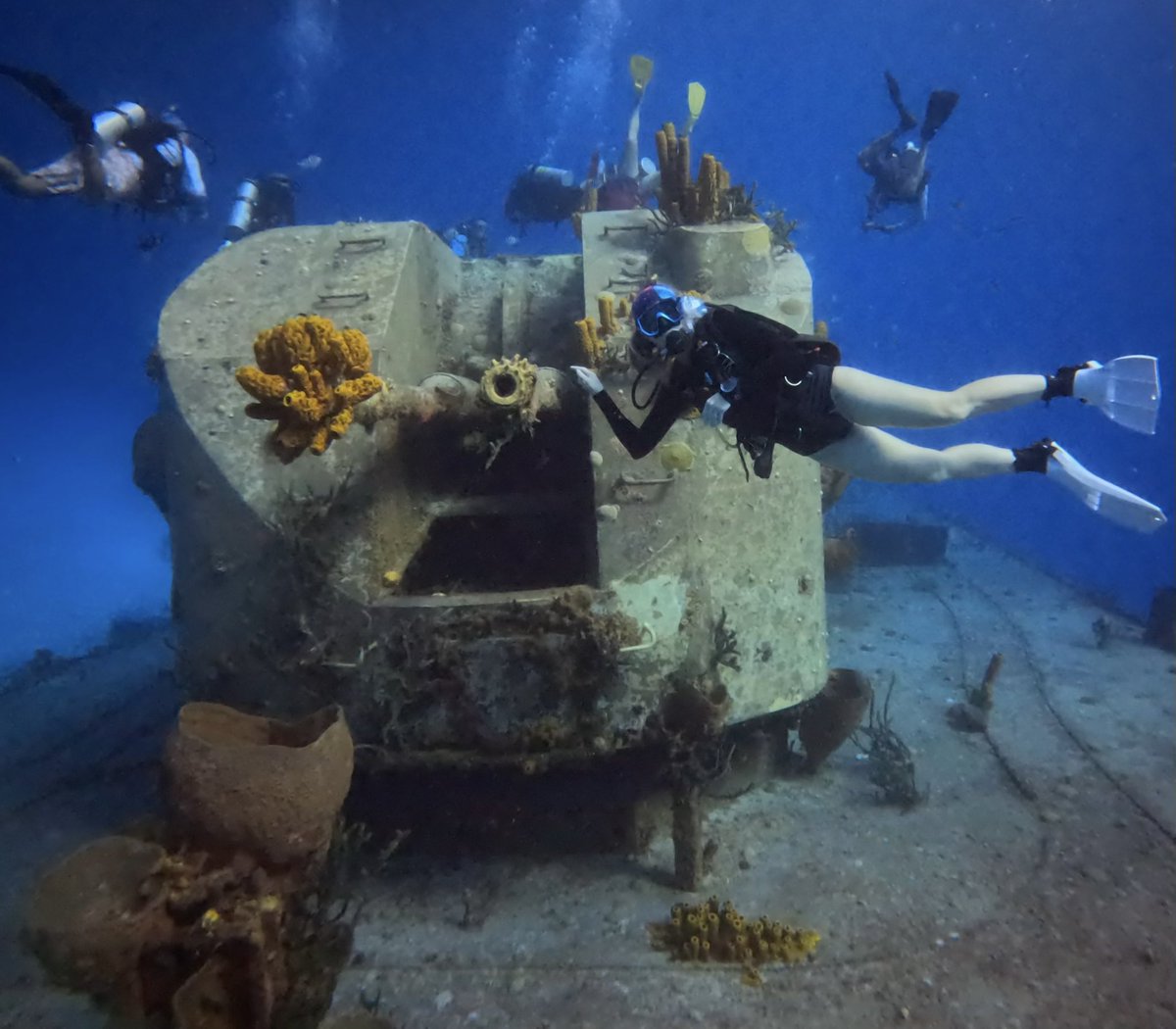 Anne Mills tweet media