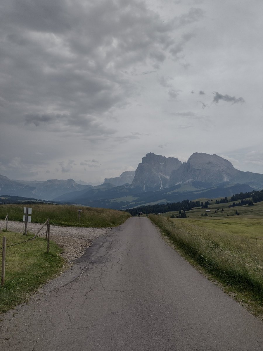 Pecca 🦇 tweet media