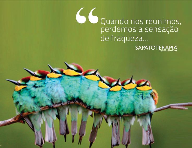 <a href="/fatima_arap/">Fatima Arap</a> Unidos pelo fim do confisco! 

Juntos somos mais fortes !🤜🤛

🔊Aprova PDL92 Já!

Use e abuse das hashtags:
👇👇👇👇

#SocorroRicardoNunes 🆘
#LulaBrasilMelhor Simmm!🚩