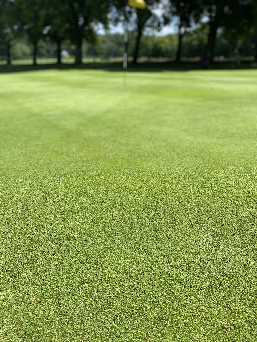 <a href="/Towneley_Golf/">Towneley Golf Course</a> was looking amazing today in the sun.

We even had some golfers all the way from 🇩🇪 who visited the course on-route to <a href="/TheOpen/">The Open</a>.

We hope they had a great game and enjoy the Championship tomorrow.

#burnley #twitterclarets #golf #TheOpen #brilliantburnley