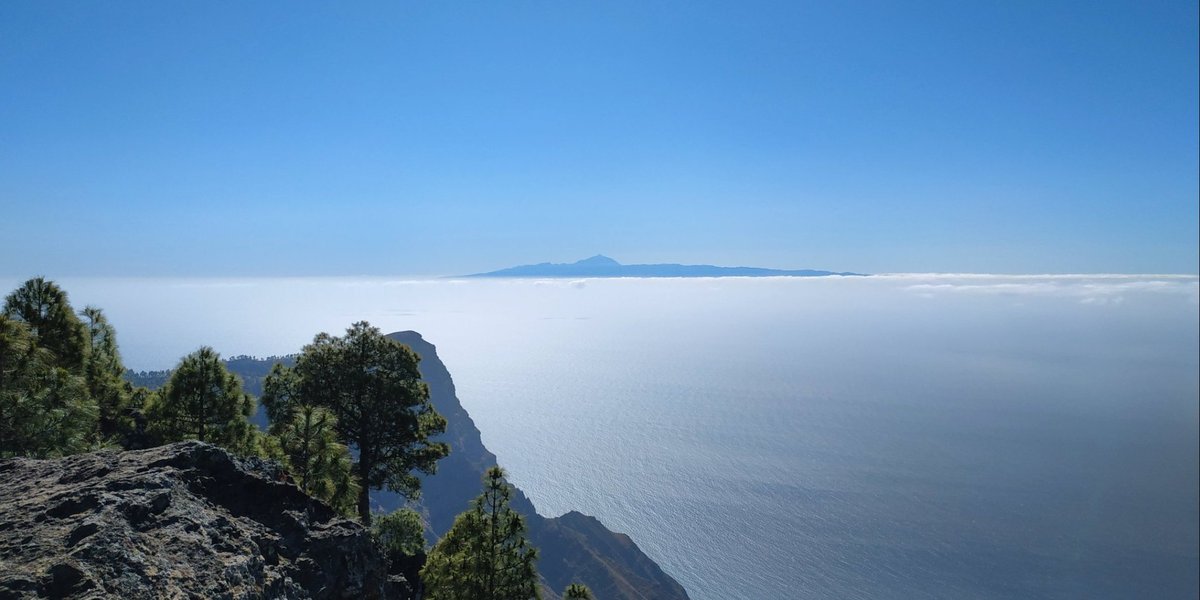 PeguiMariana's tweet photo. I ❤ Tamadaba 🫶
Gran Canaria https://t.co/nzZJw9CSd4
