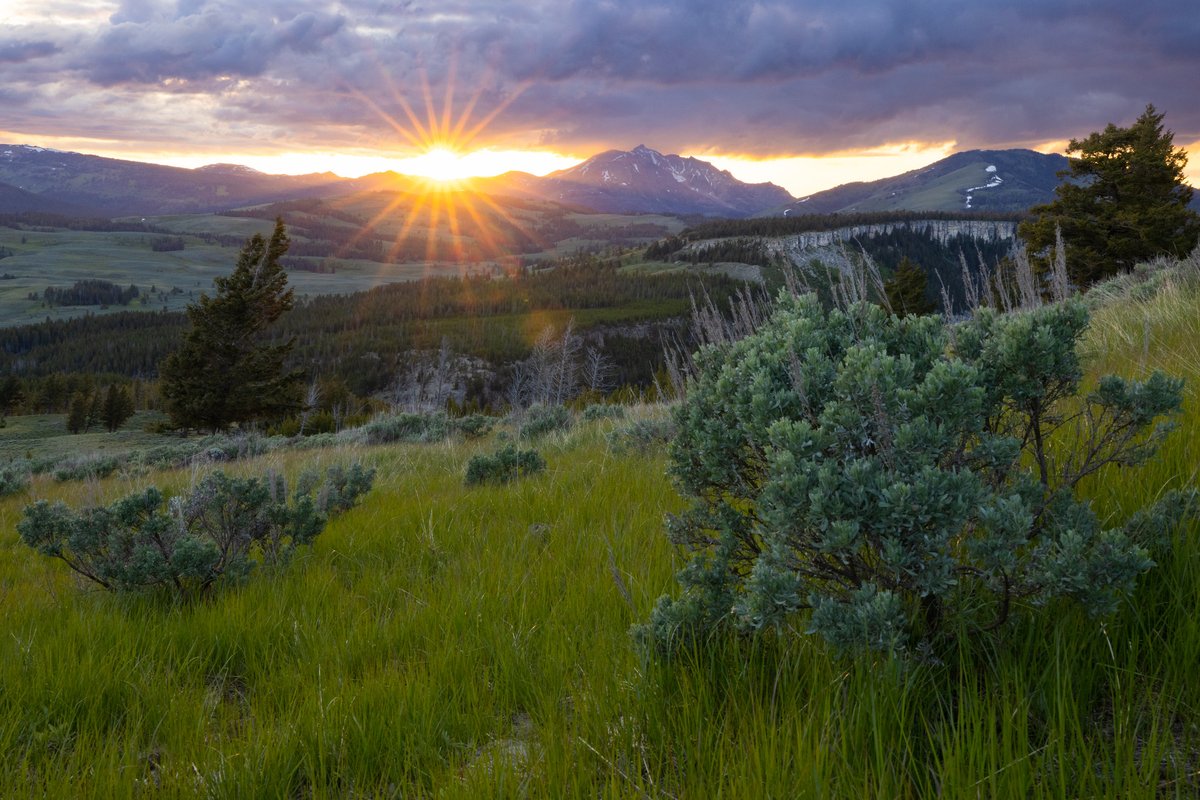YellowstoneNPS's tweet photo. After a long day of exploring, there's nothing like relaxing and enjoying the sunset. Do you have a favorite spot? Share your photos with us! https://t.co/Ylg2obnhpT