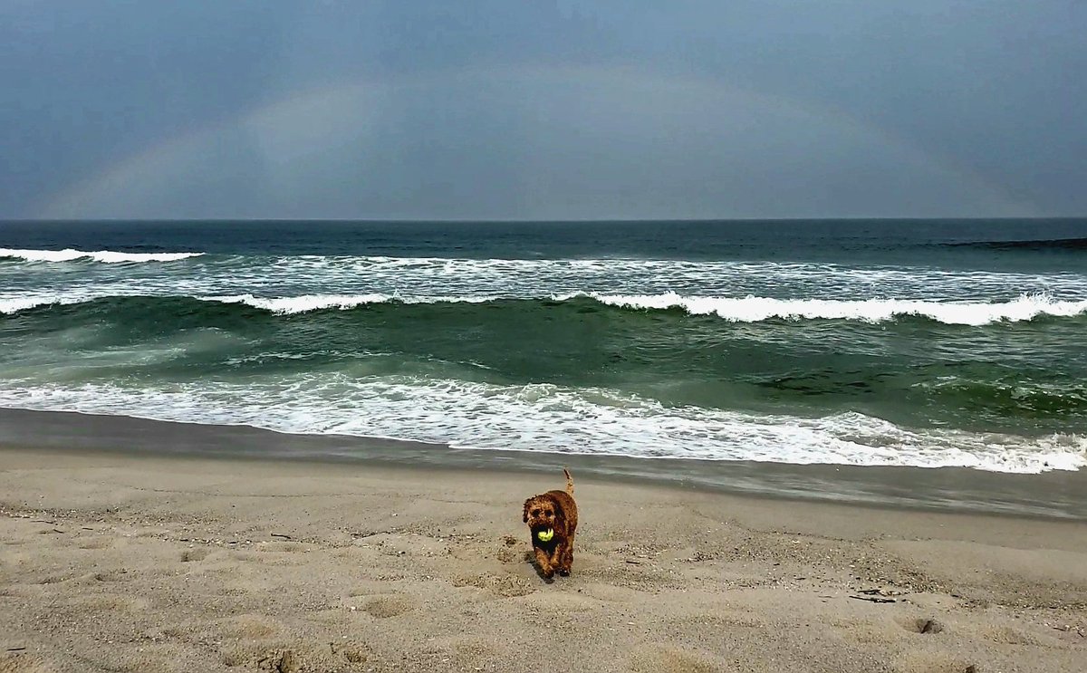 denisewirth1's tweet photo. Beautiful faded rainbow. https://t.co/c4CRU2fzfw