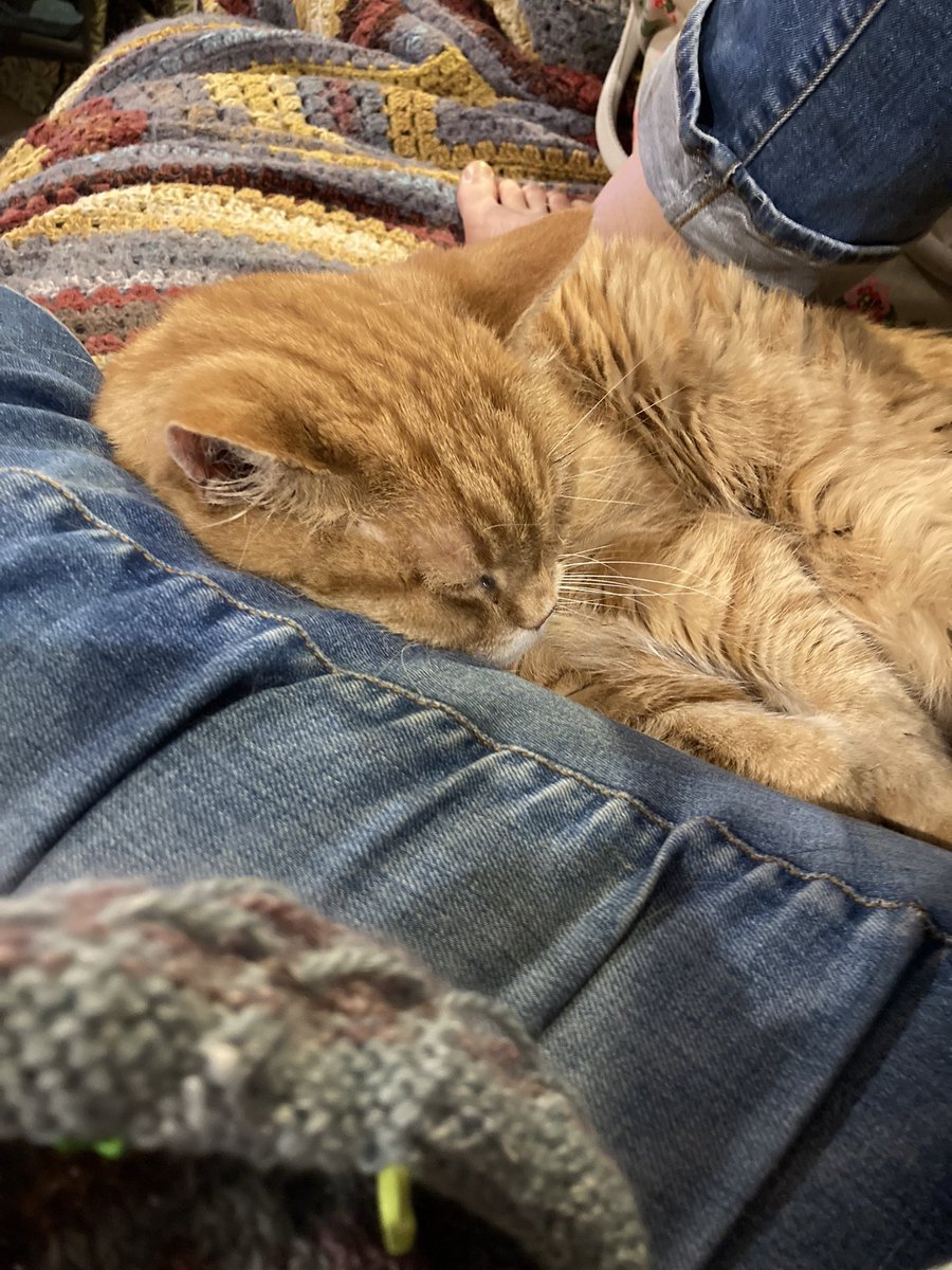 celiahart's tweet photo. They’re happy we’re home
#studioassistants https://t.co/4BoYclxm8r